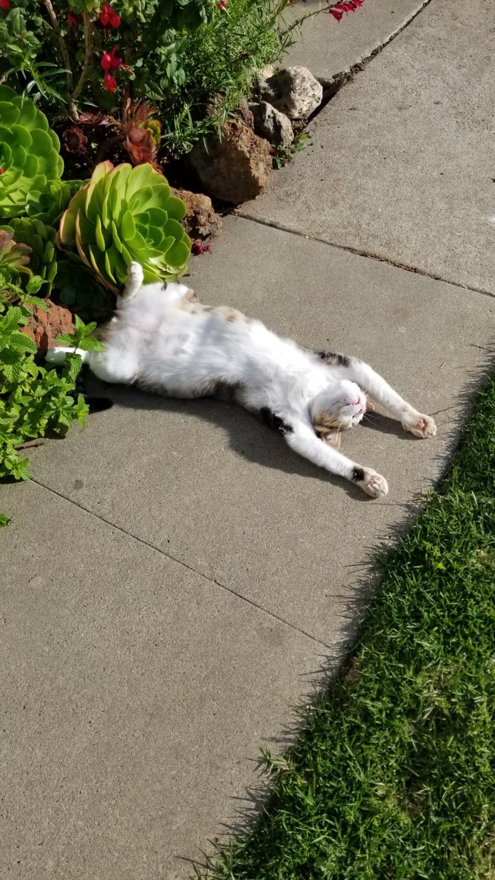20190824_173208.jpg