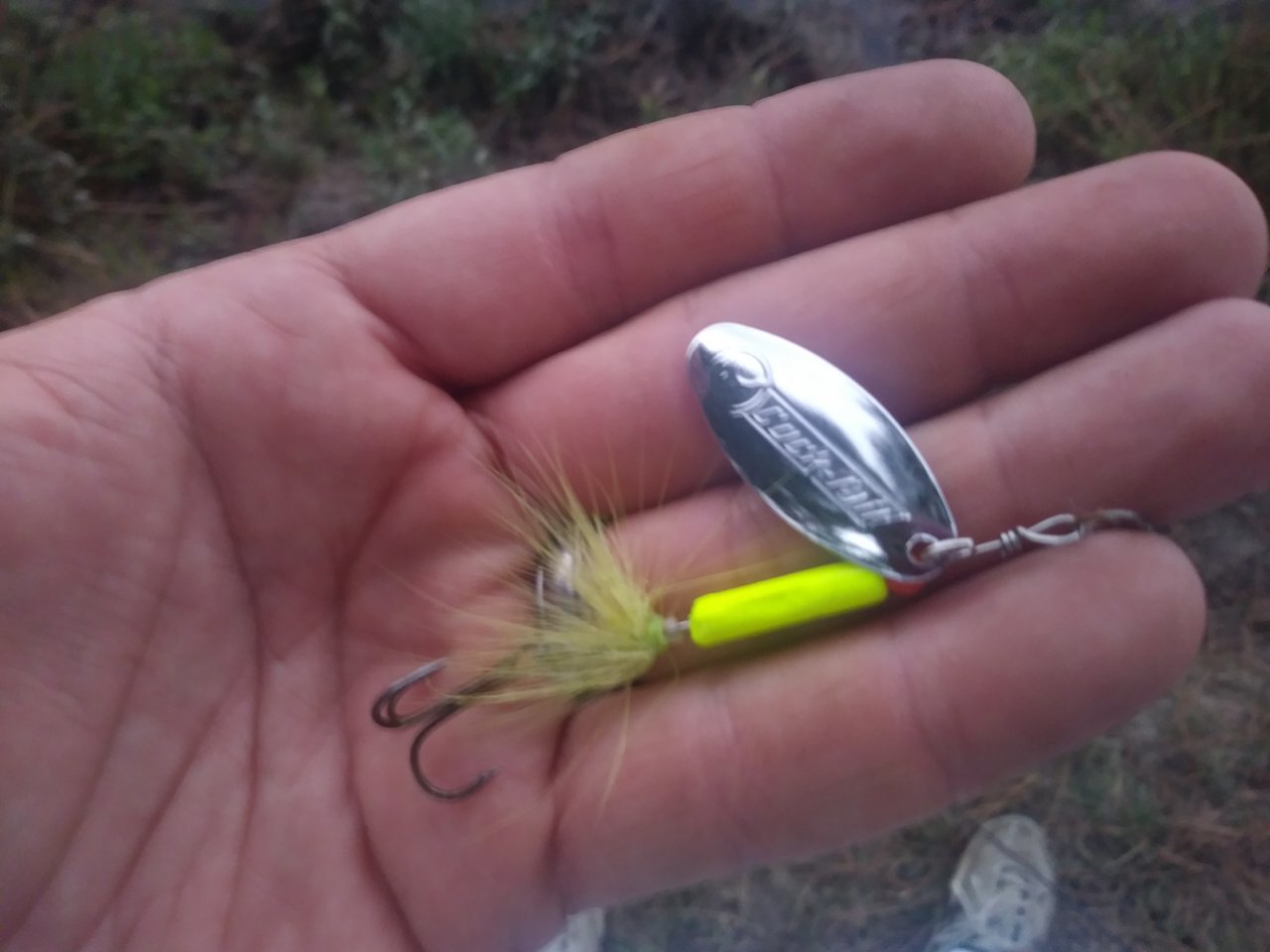 20190824_185017.jpg