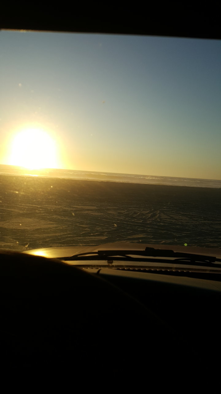 20190824_194205.jpg