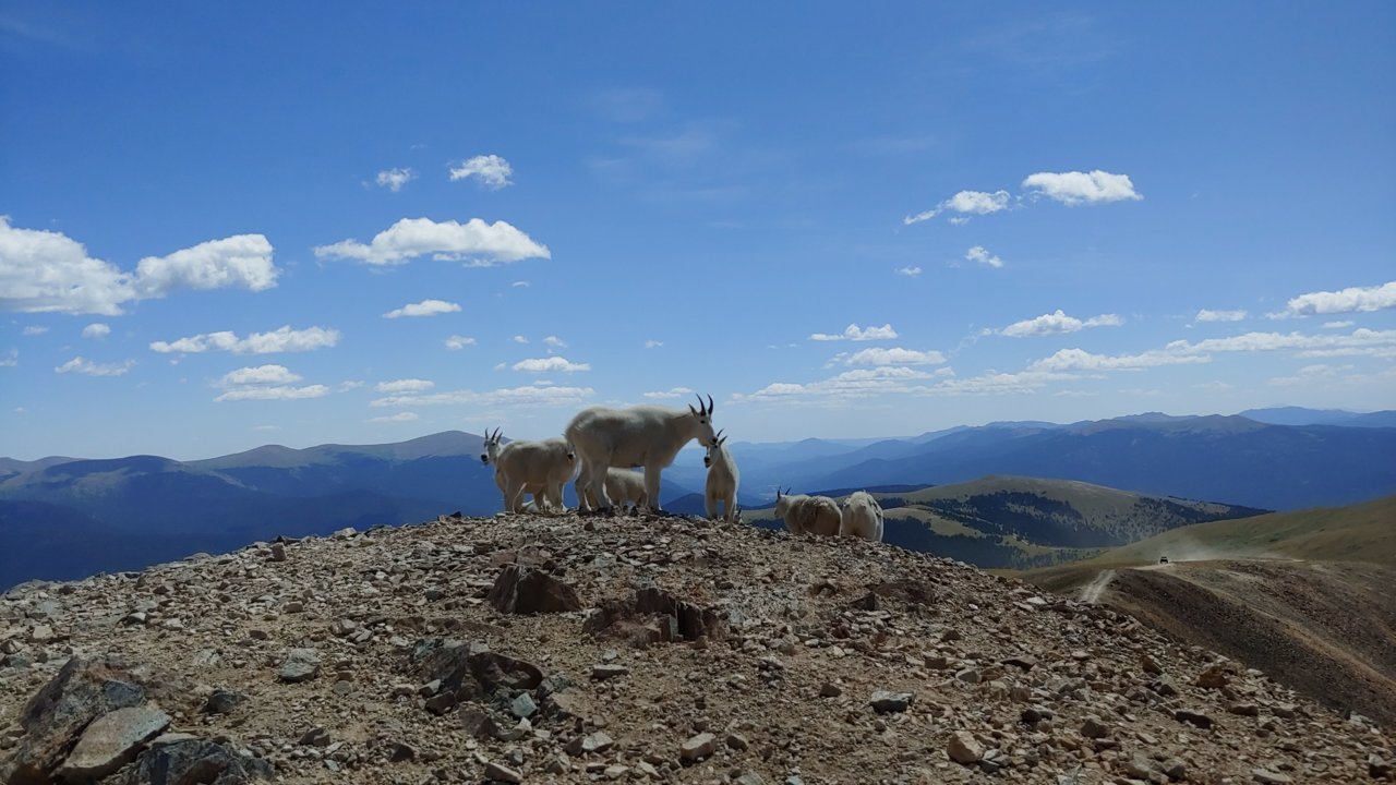 20190825_115825.jpg