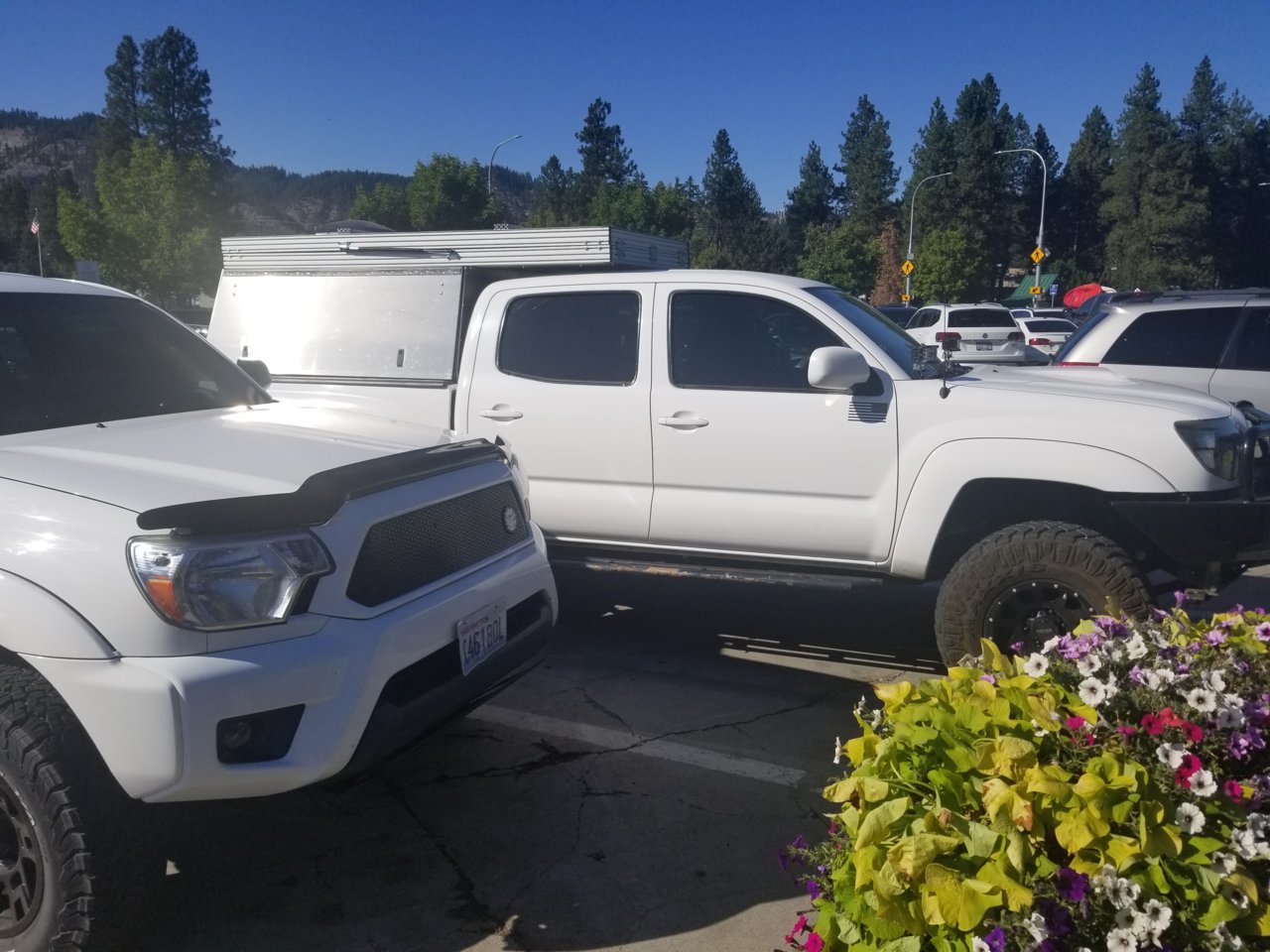 20190825_162739.jpg