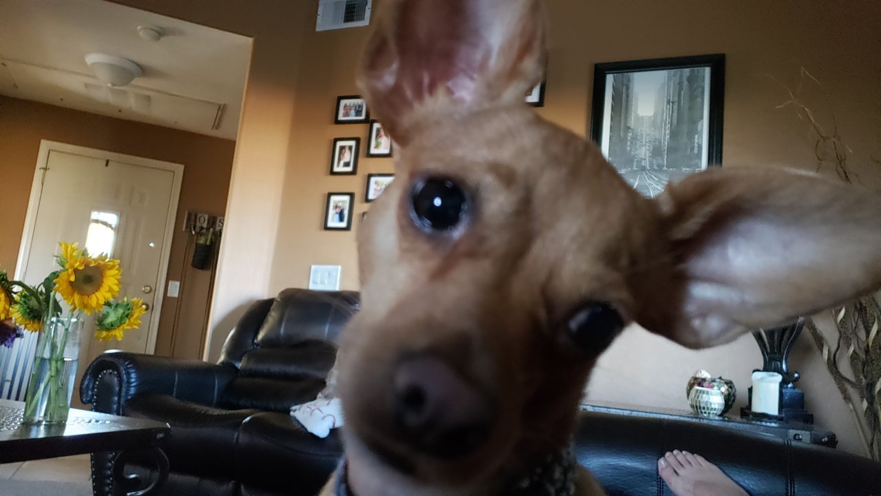 20190825_175513.jpg