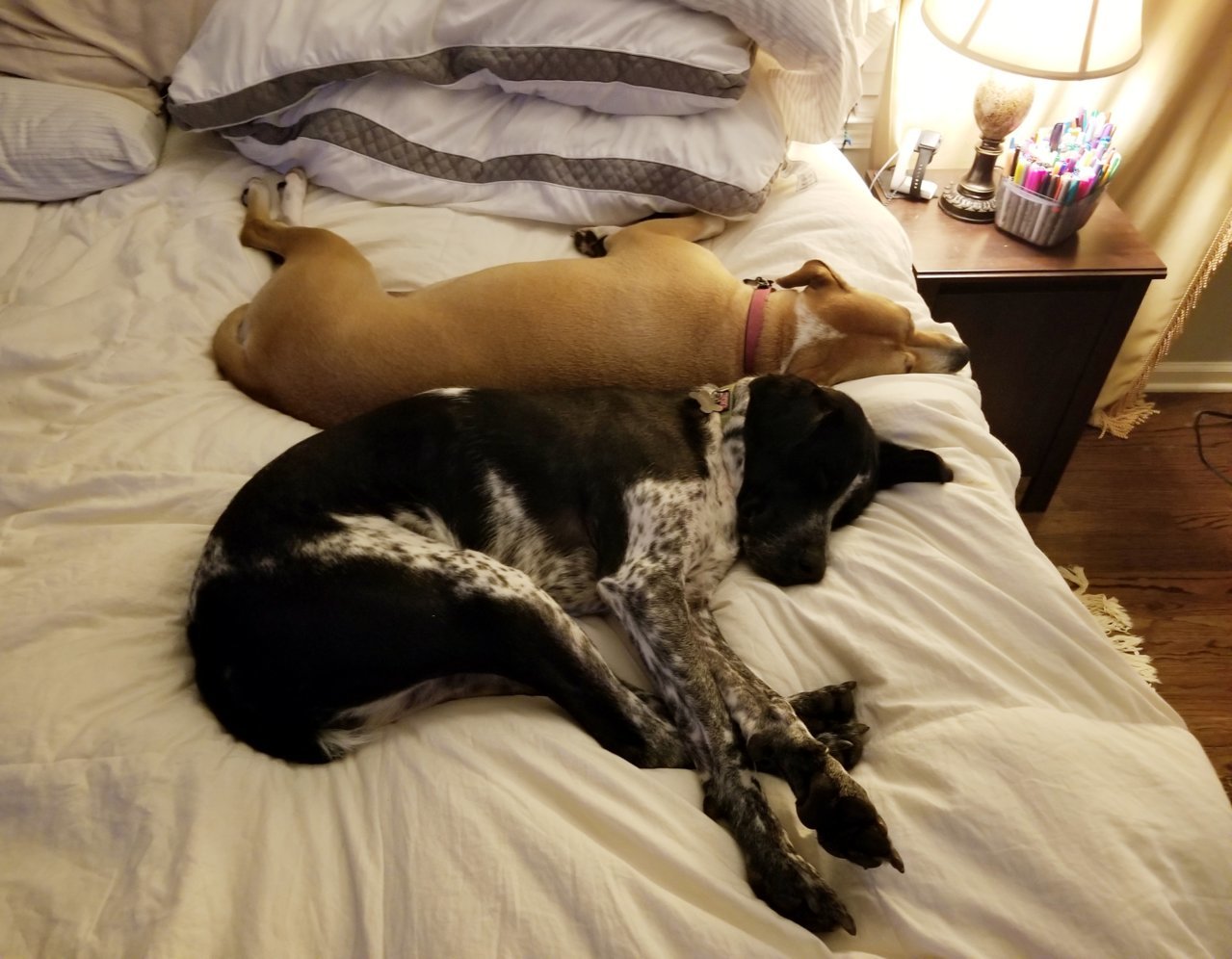 20190825_204228.jpg