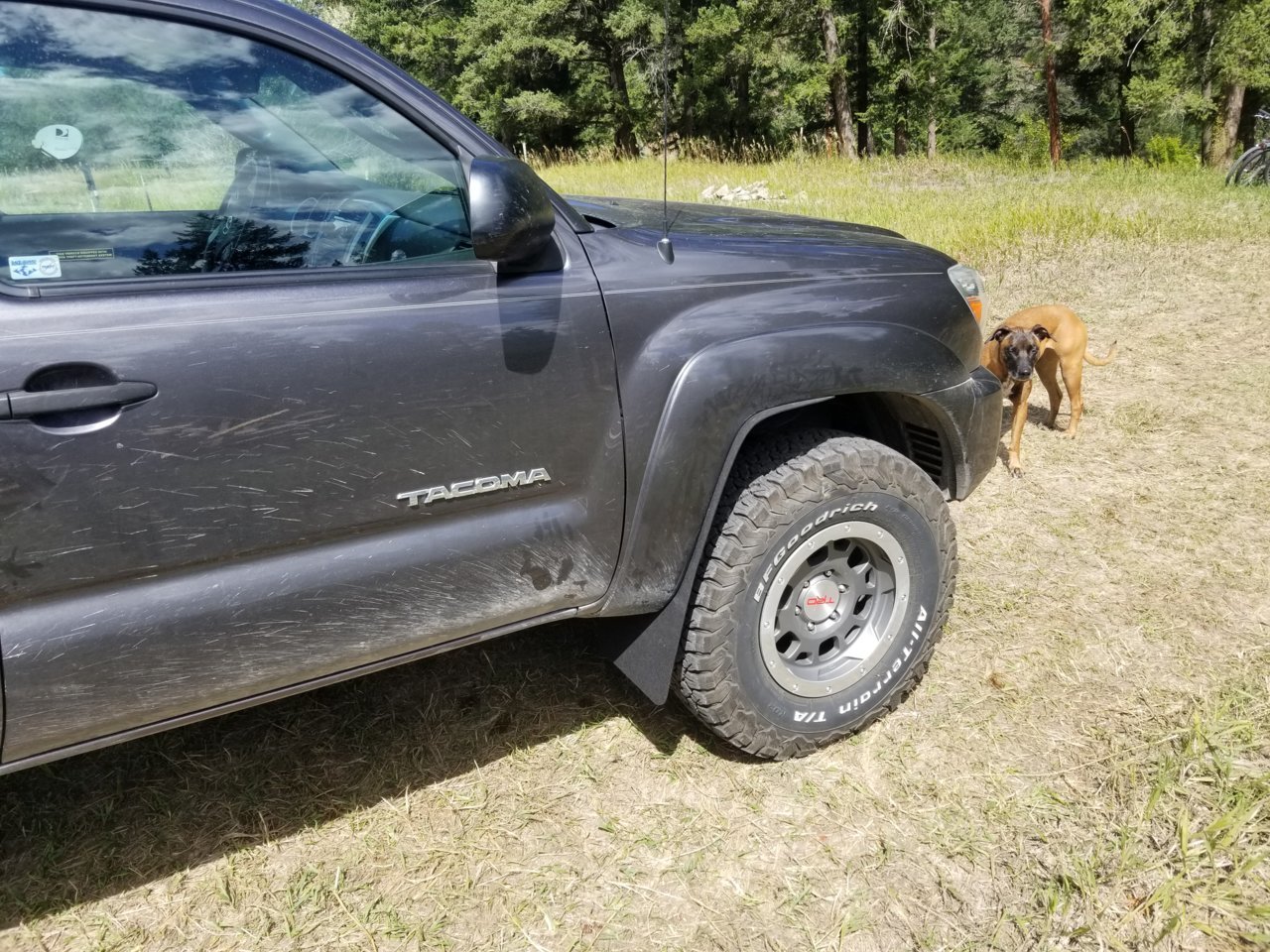 20190826_124825.jpg