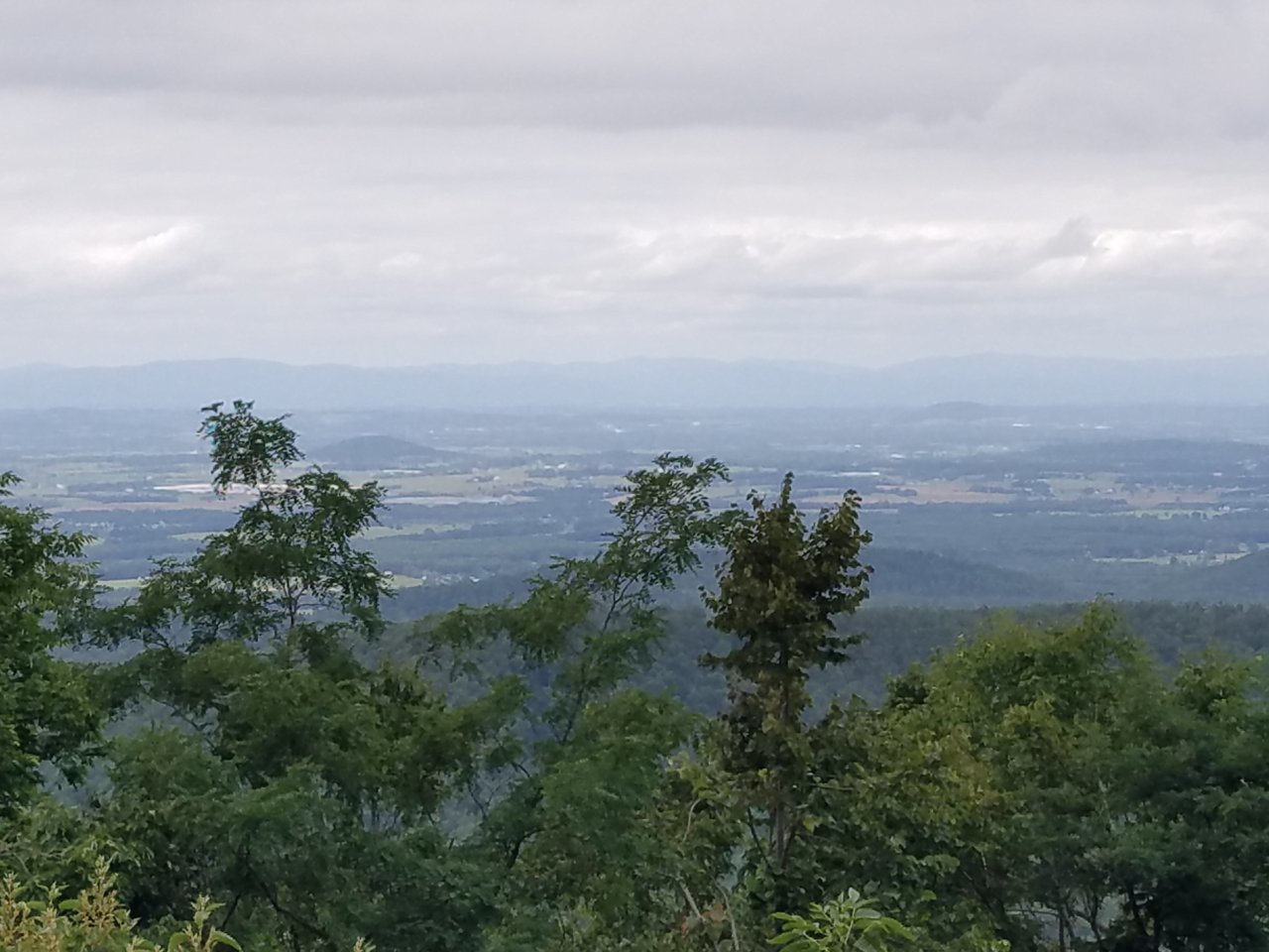20190826_145142.jpg