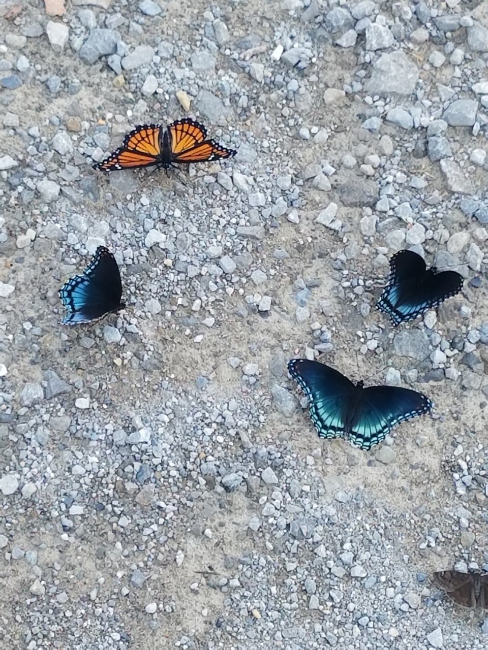 20190826_151217.jpg