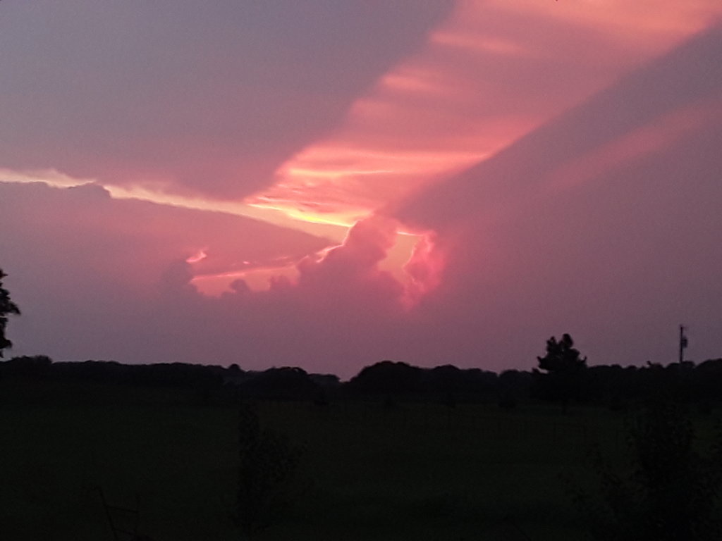 20190826_200956.jpg