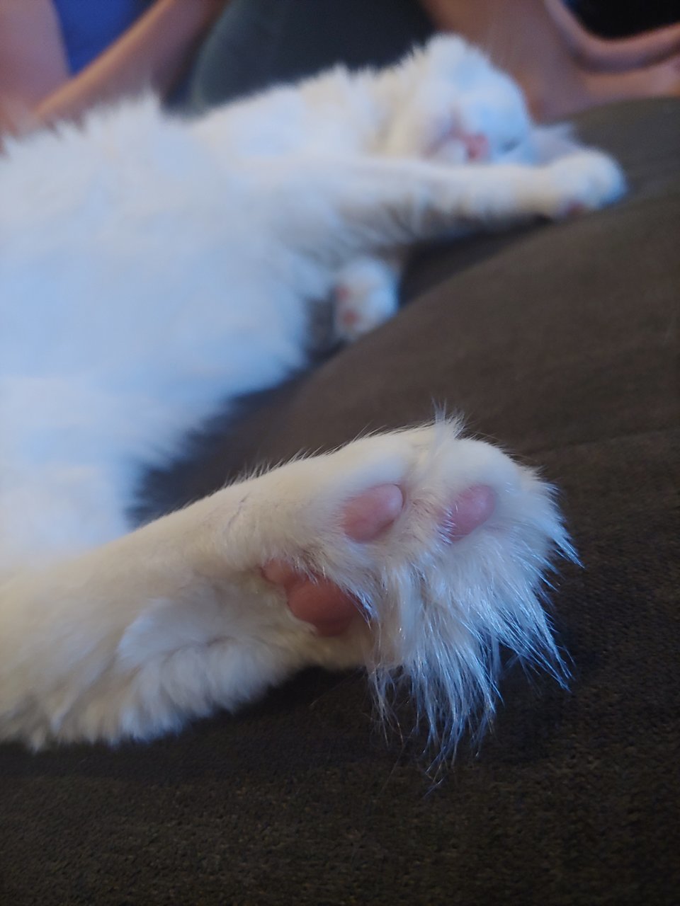 20190826_214037.jpg