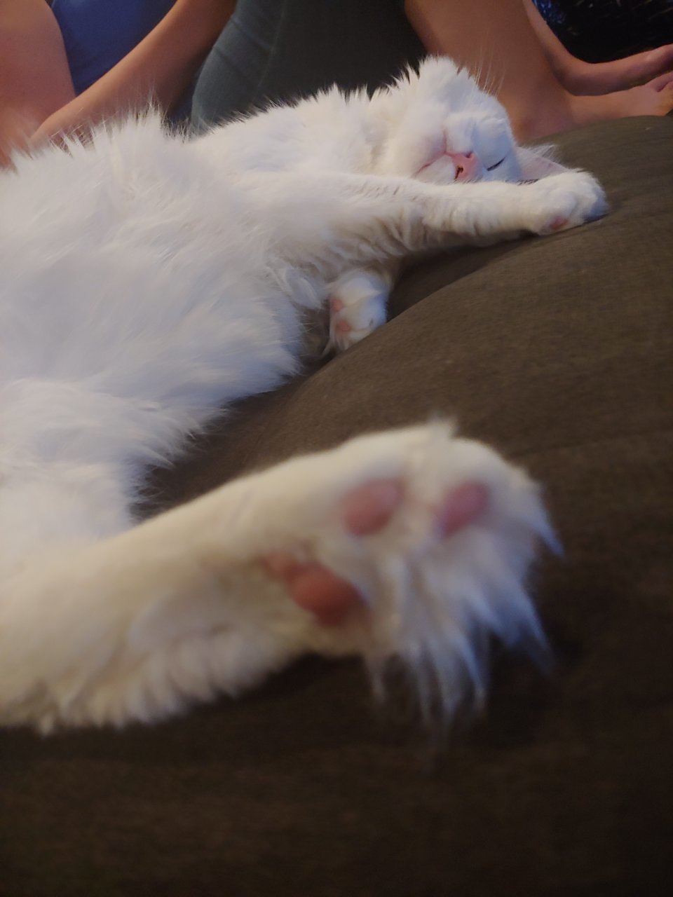 20190826_214042.jpg