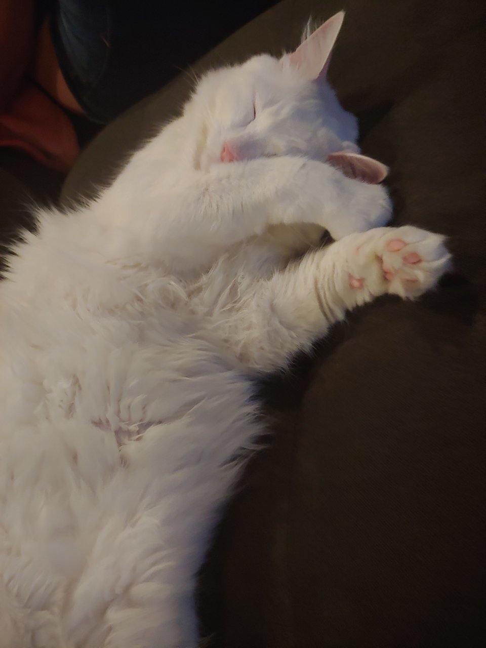 20190826_214104.jpg