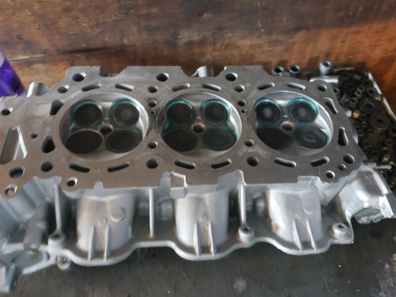 20190827_122434.jpg