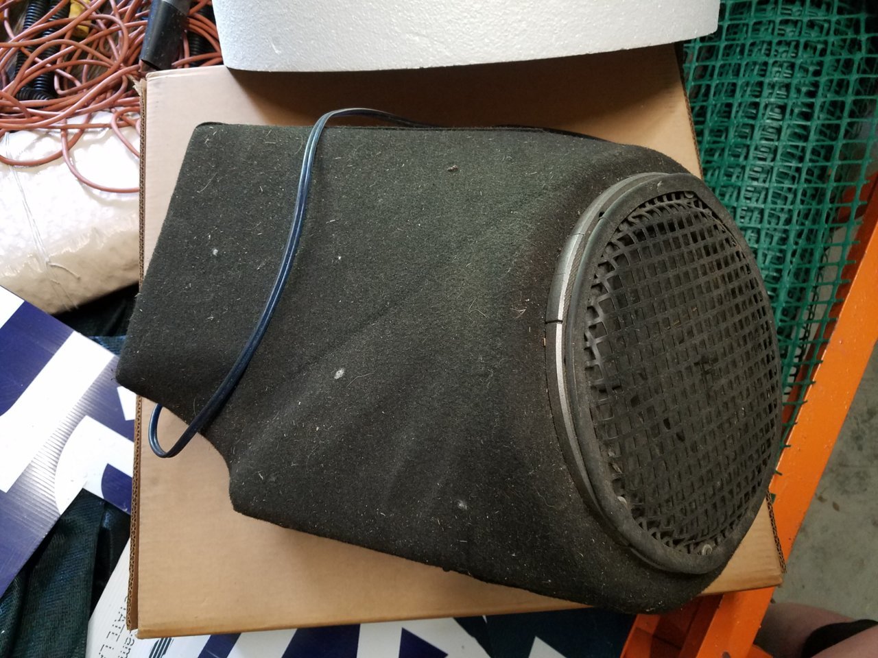 20190828_104036.jpg
