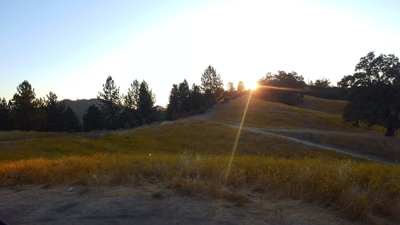 20190829_065633.jpg