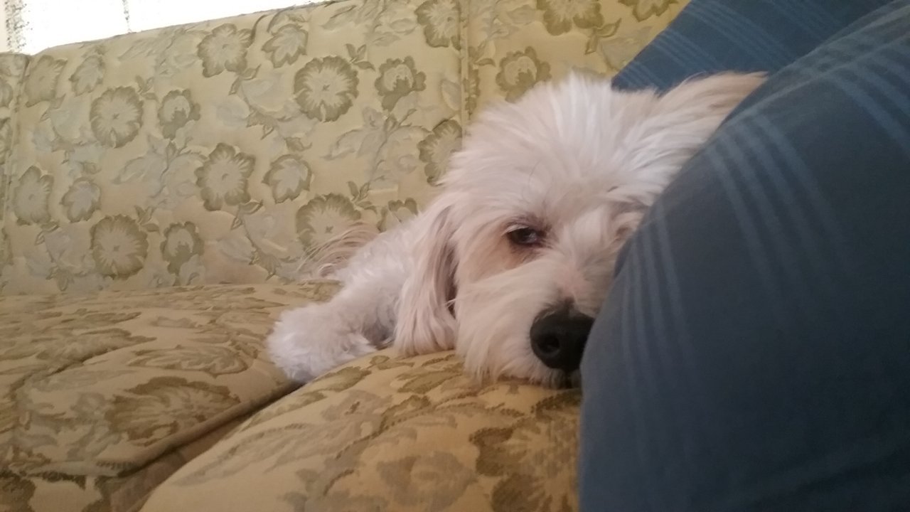 20190829_092516.jpg