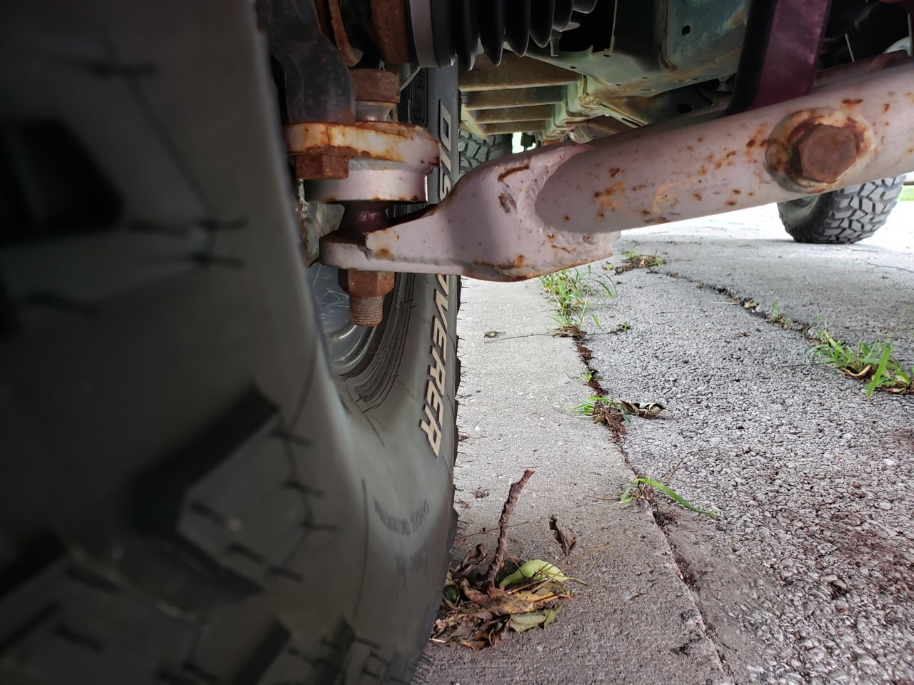 20190829_141618.jpg