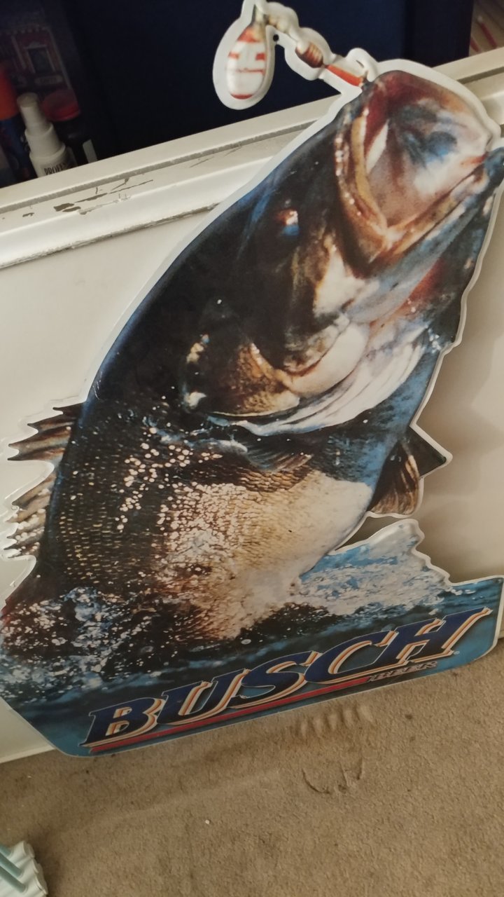 20190830_090601.jpg