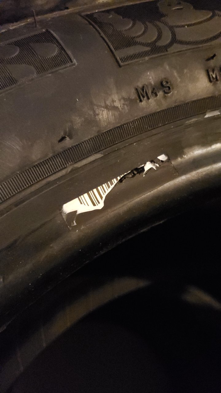 20190830_104707.jpg