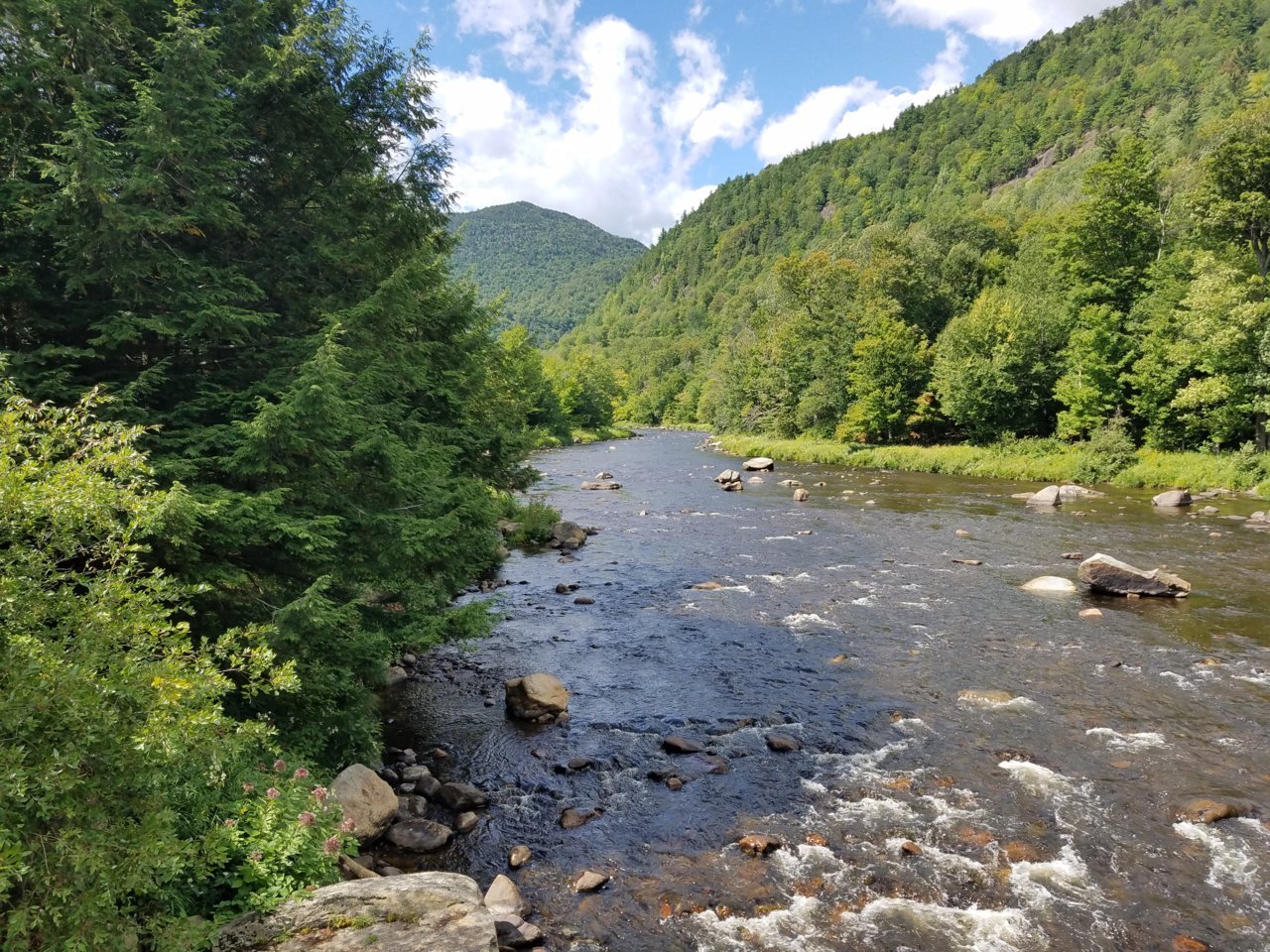 20190830_120342.jpg