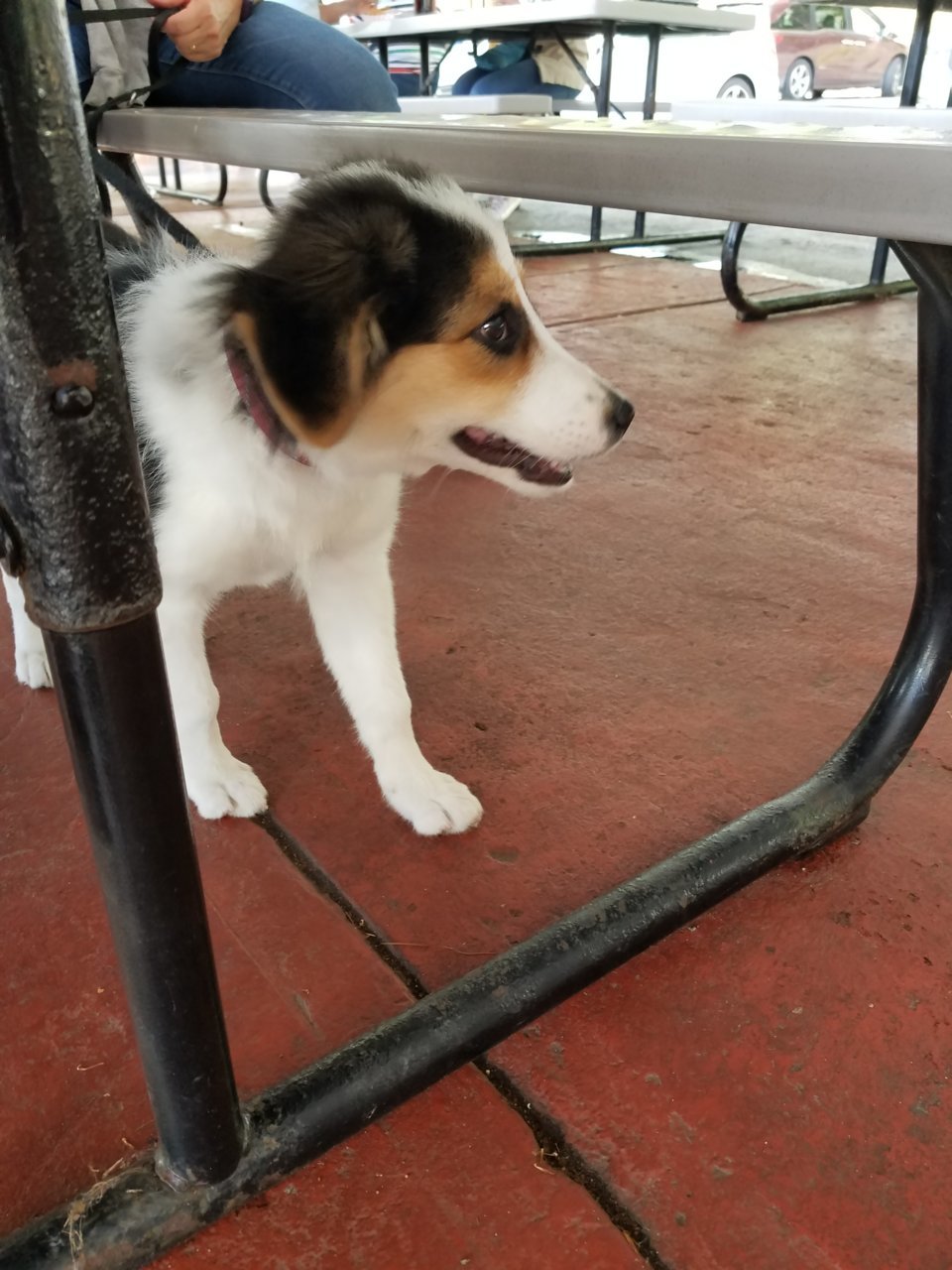 20190830_125735.jpg