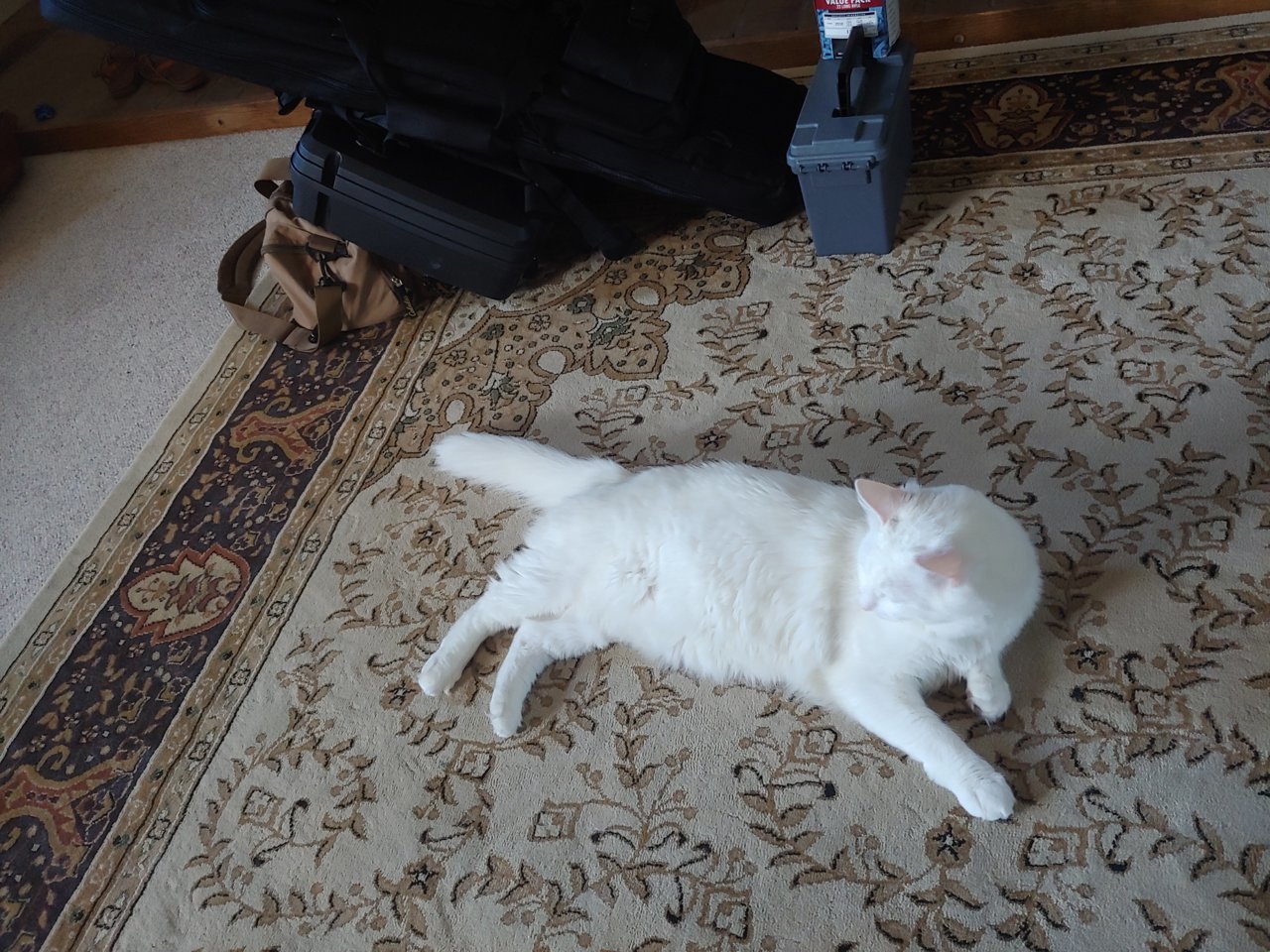 20190831_090226.jpg