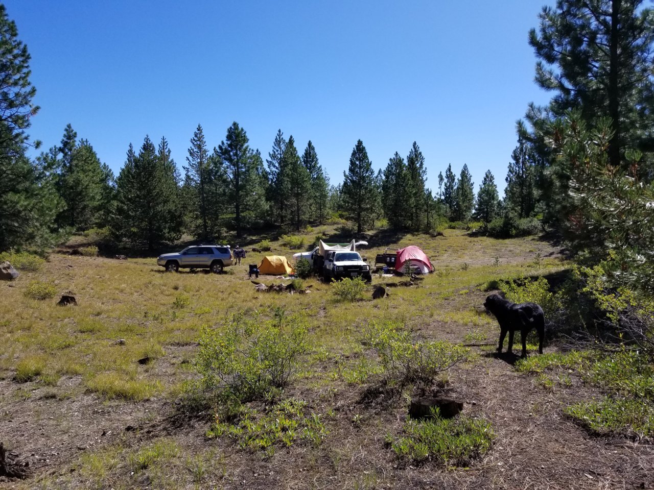 20190831_105720.jpg