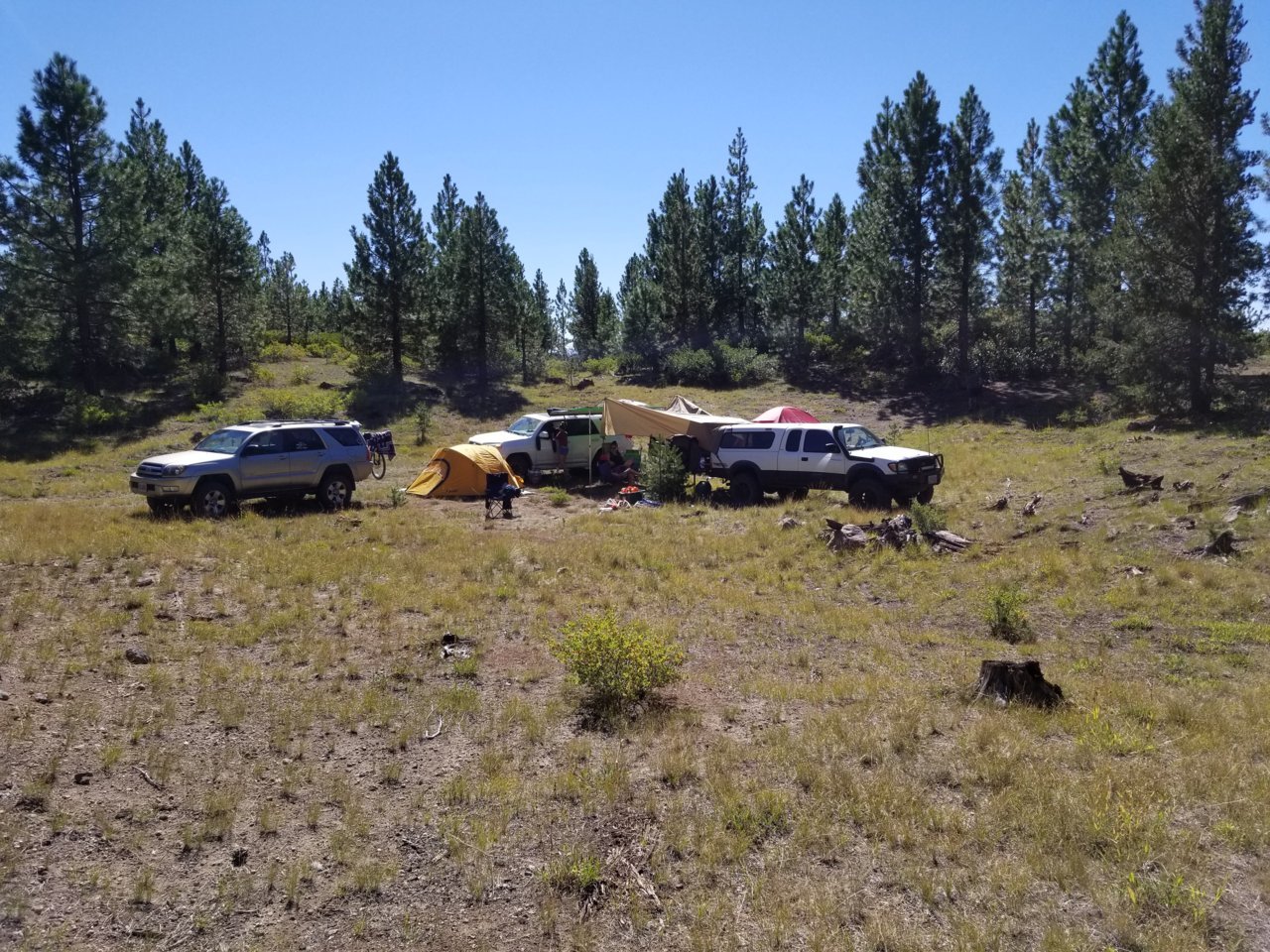 20190831_105746.jpg