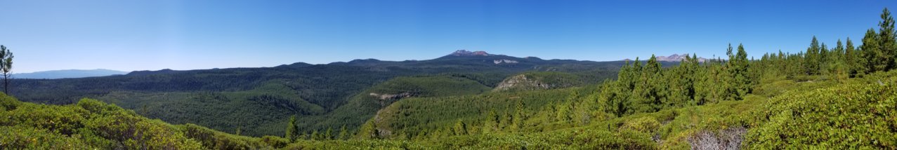 20190831_110336.jpg