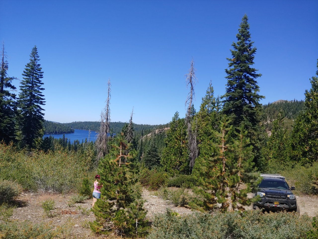 20190831_123453.jpg