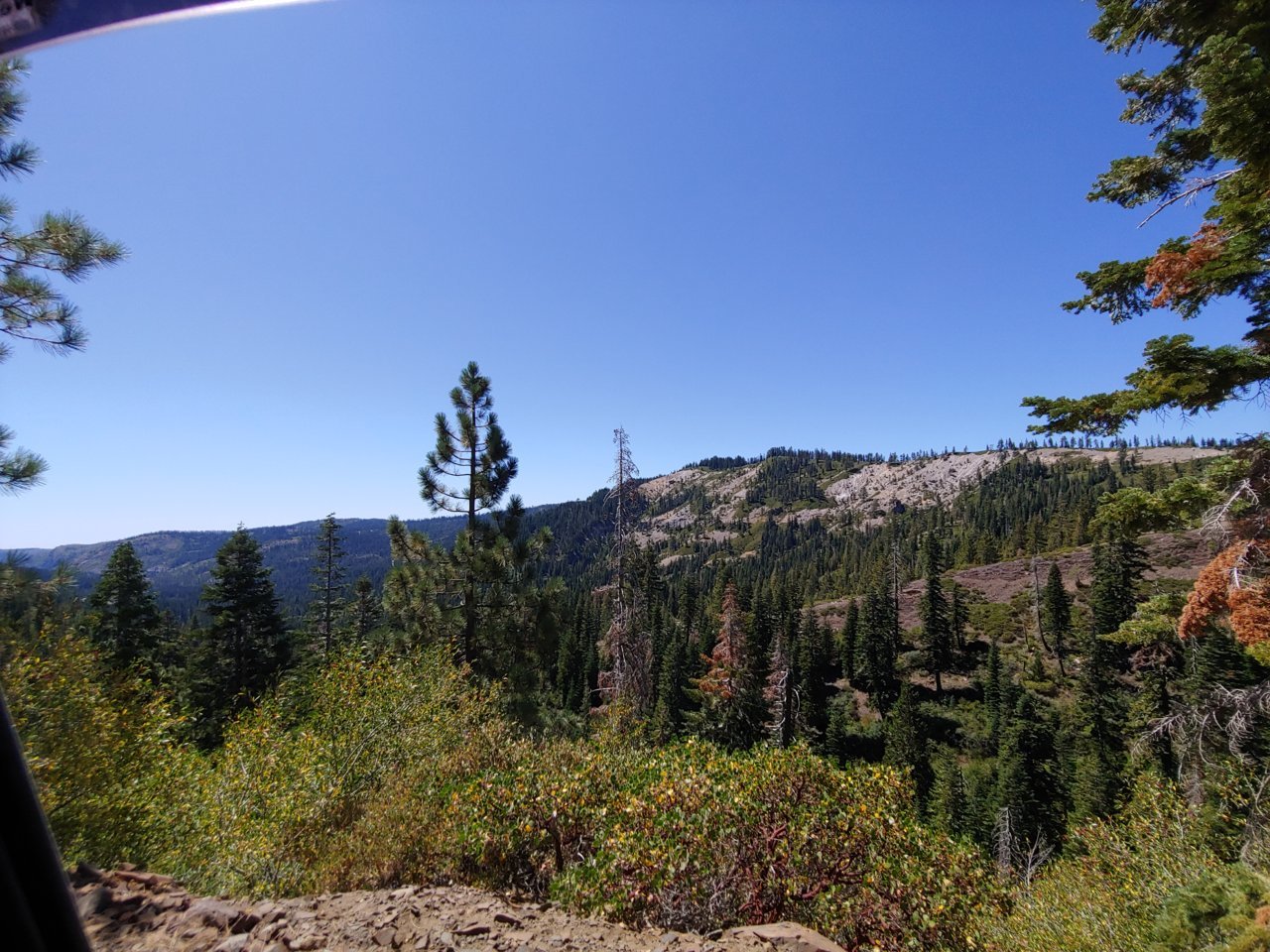 20190831_133237.jpg