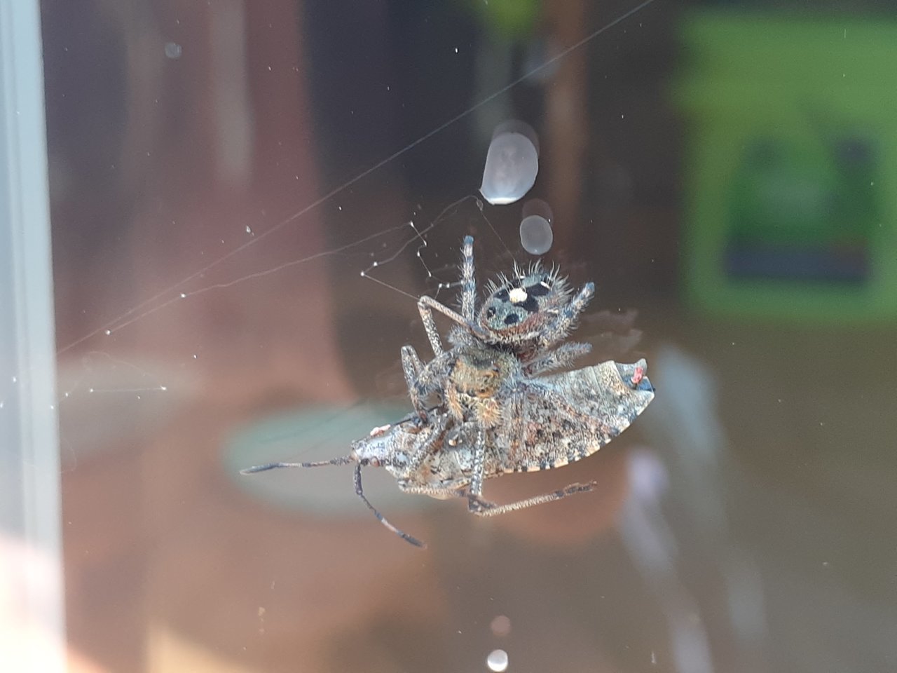 20190831_144635.jpg