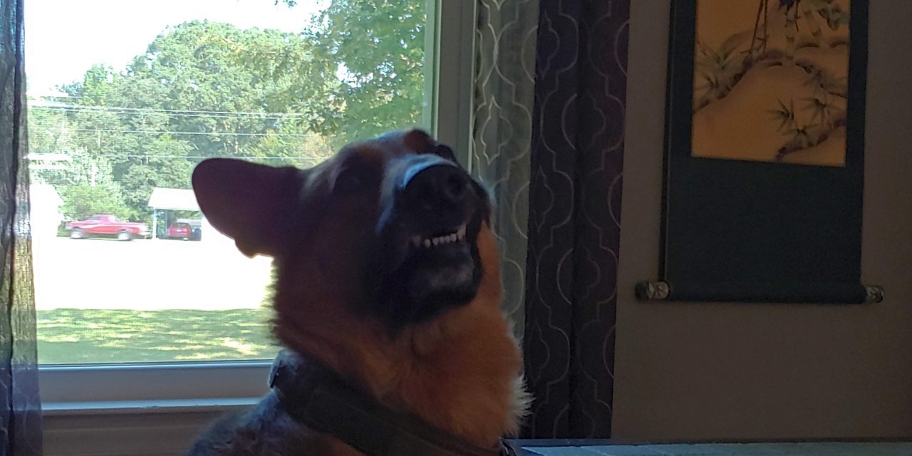 20190831_153921_HDR.jpg