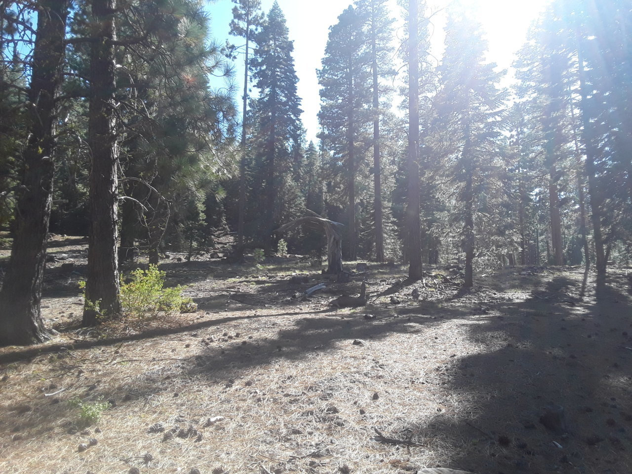 20190831_155510.jpg