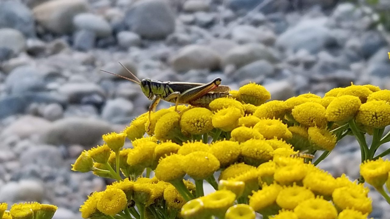 20190831_165656.jpg