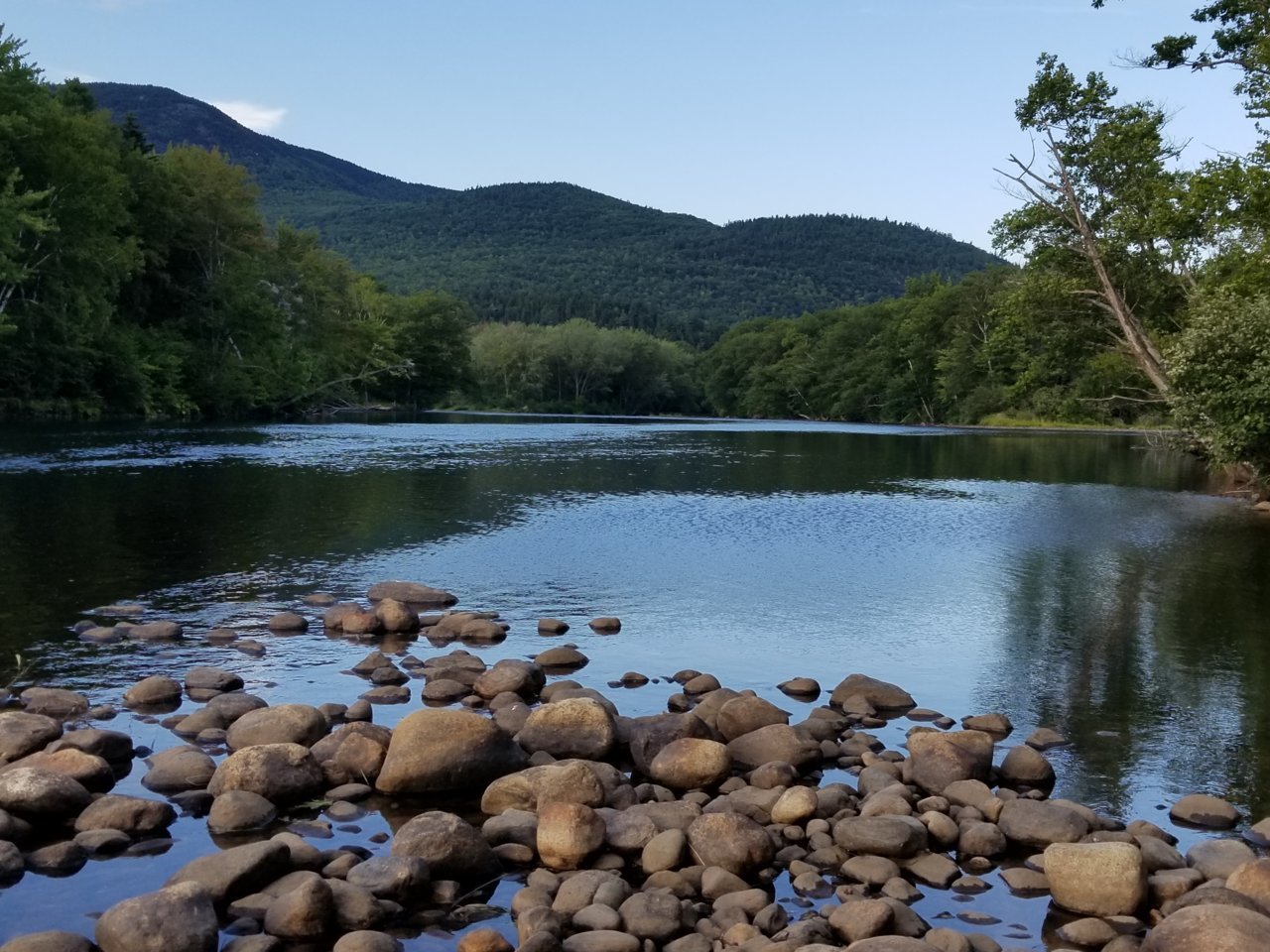 20190831_180738.jpg