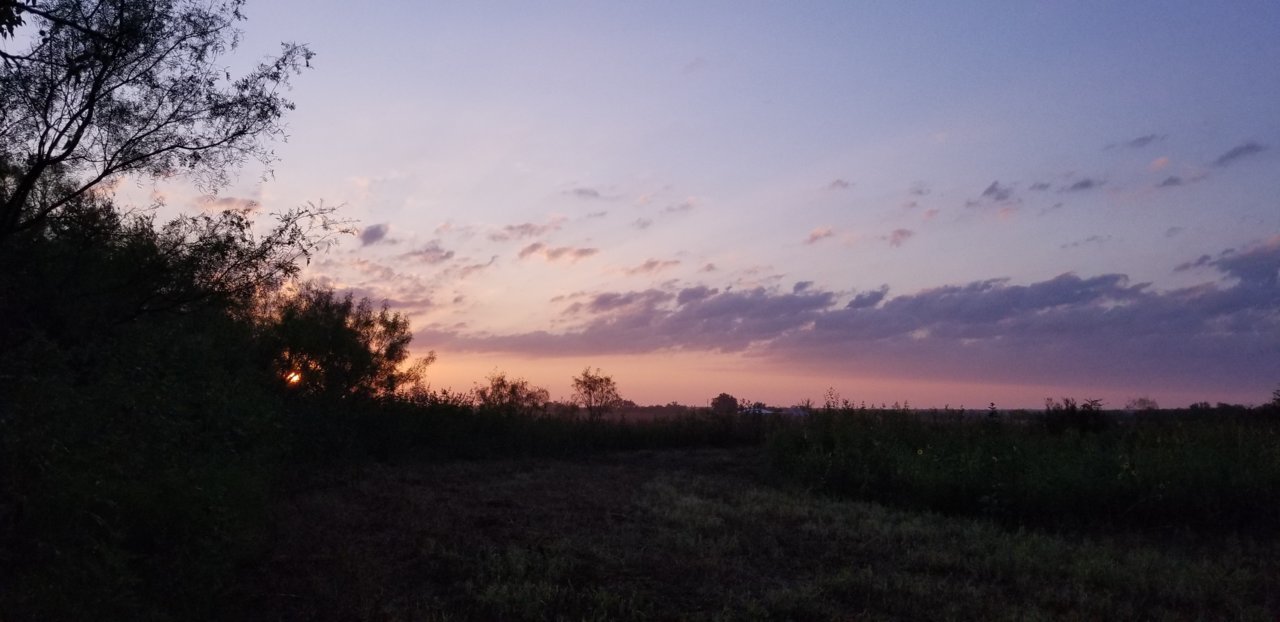 20190901_071910.jpg