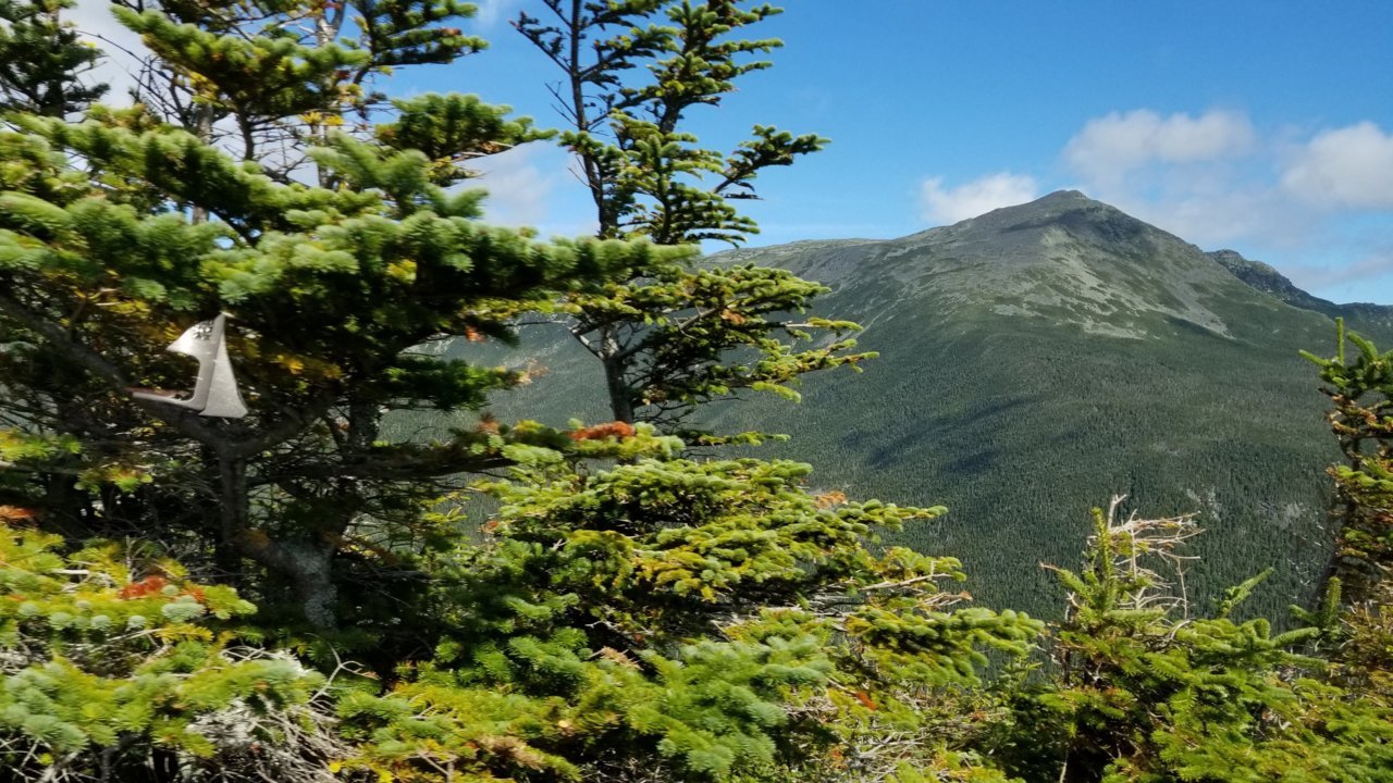 20190901_094604.jpg