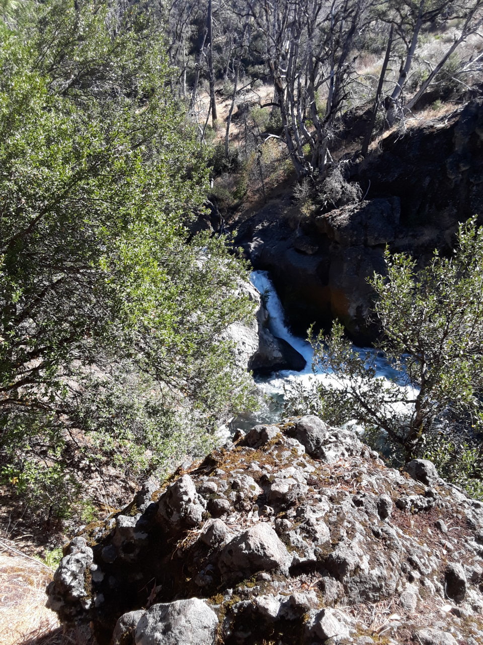 20190901_100945.jpg