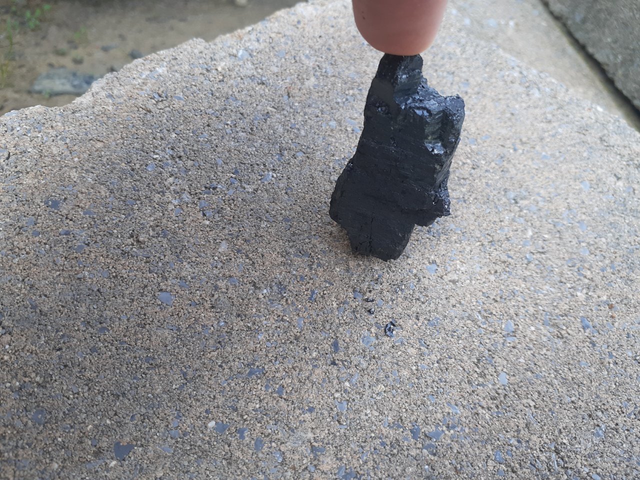 20190901_105101.jpg