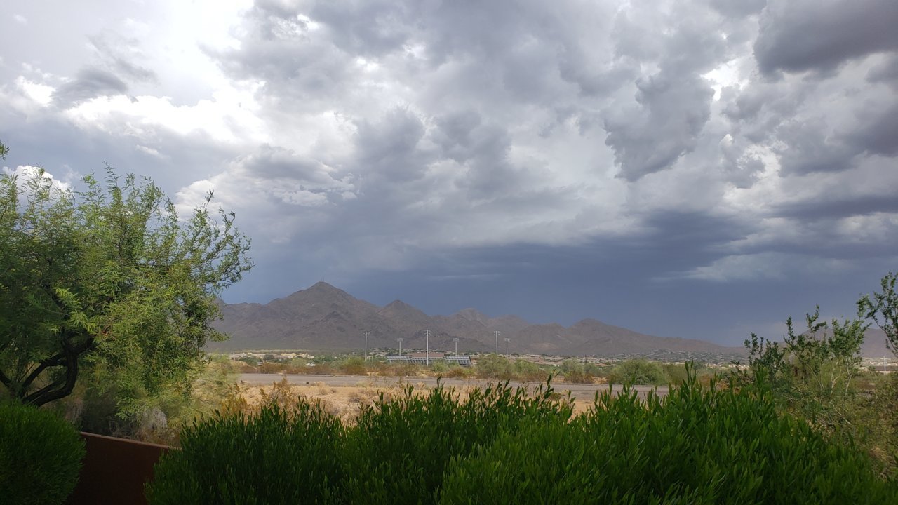 20190901_165037.jpg