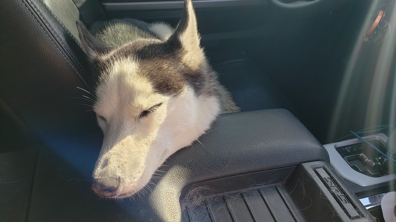 20190901_172308.jpg