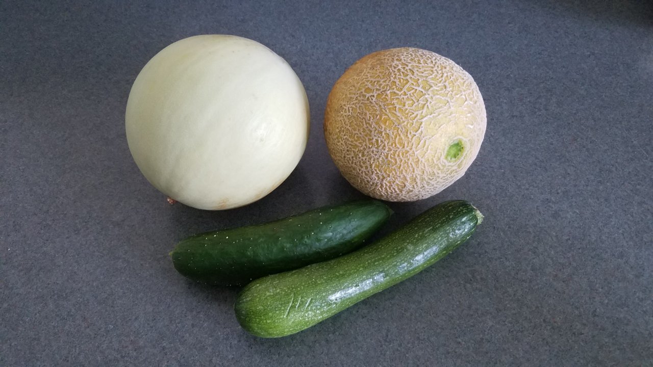 20190902_101627.jpg