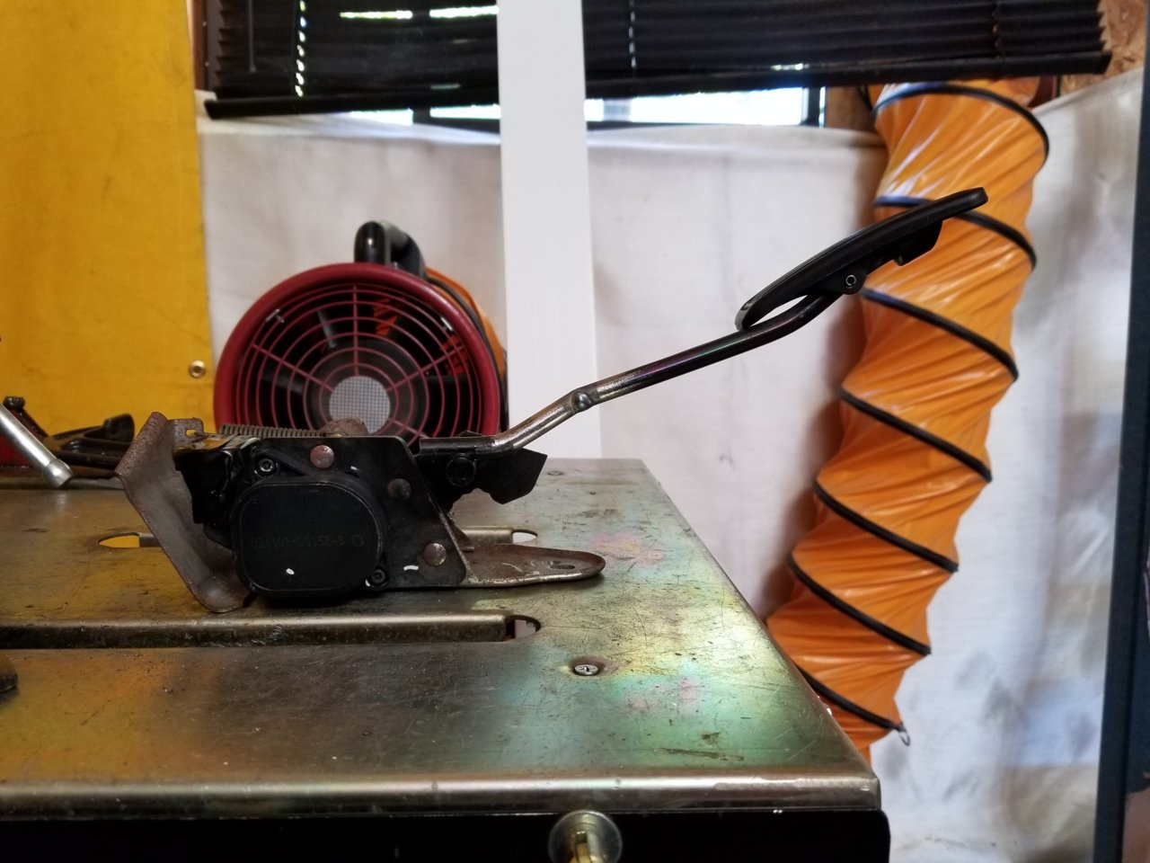 20190902_110415_48902845801_o.jpg