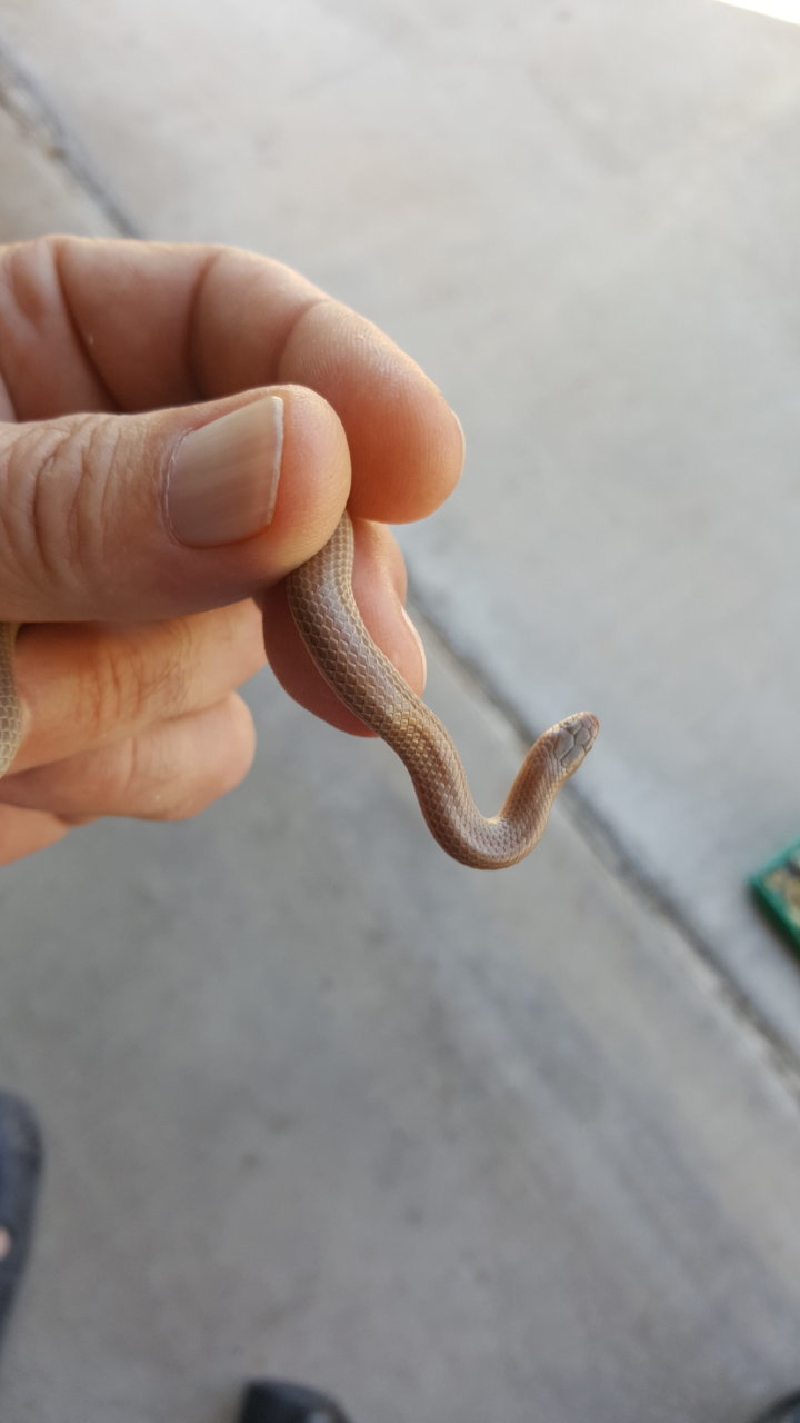 20190902_142859[1].jpg