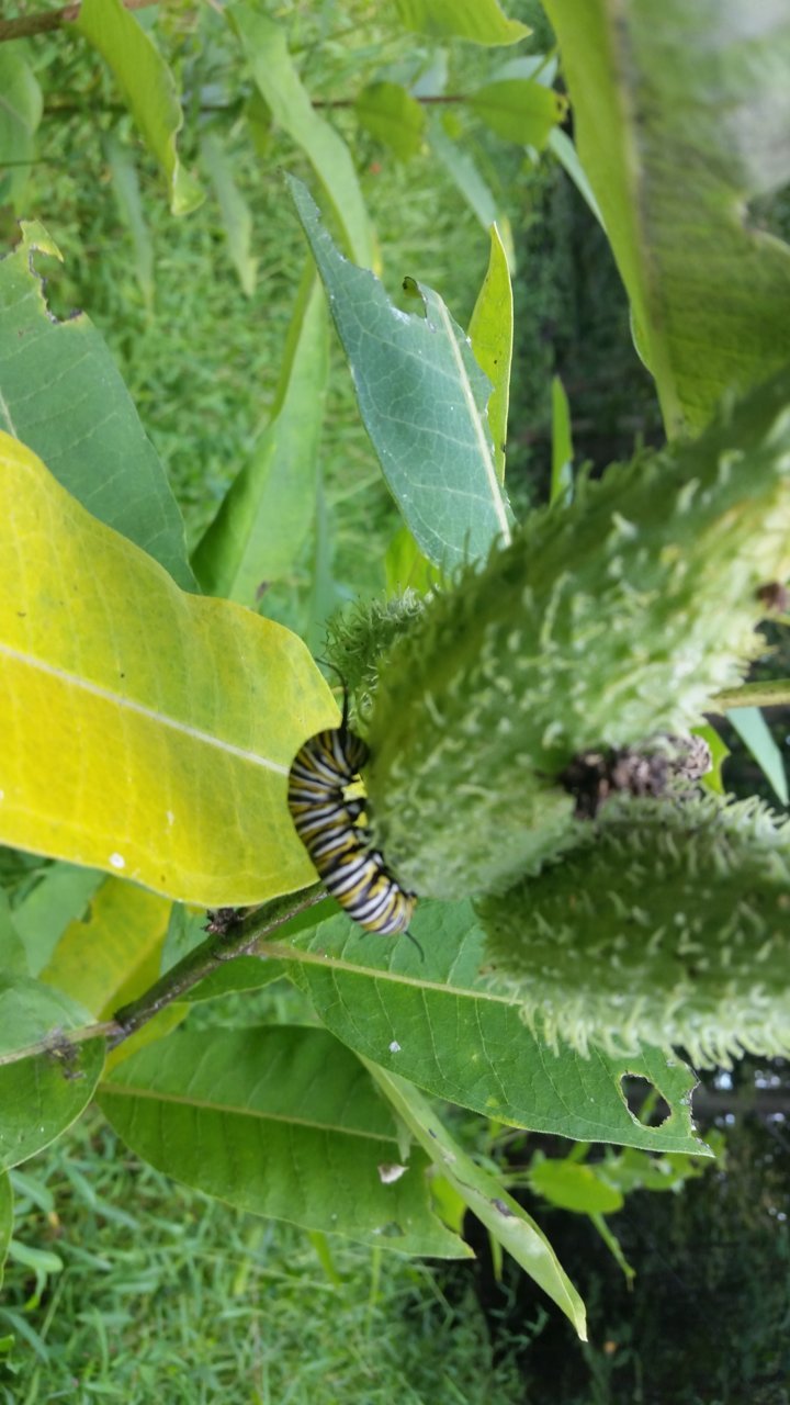 20190902_145914.jpg