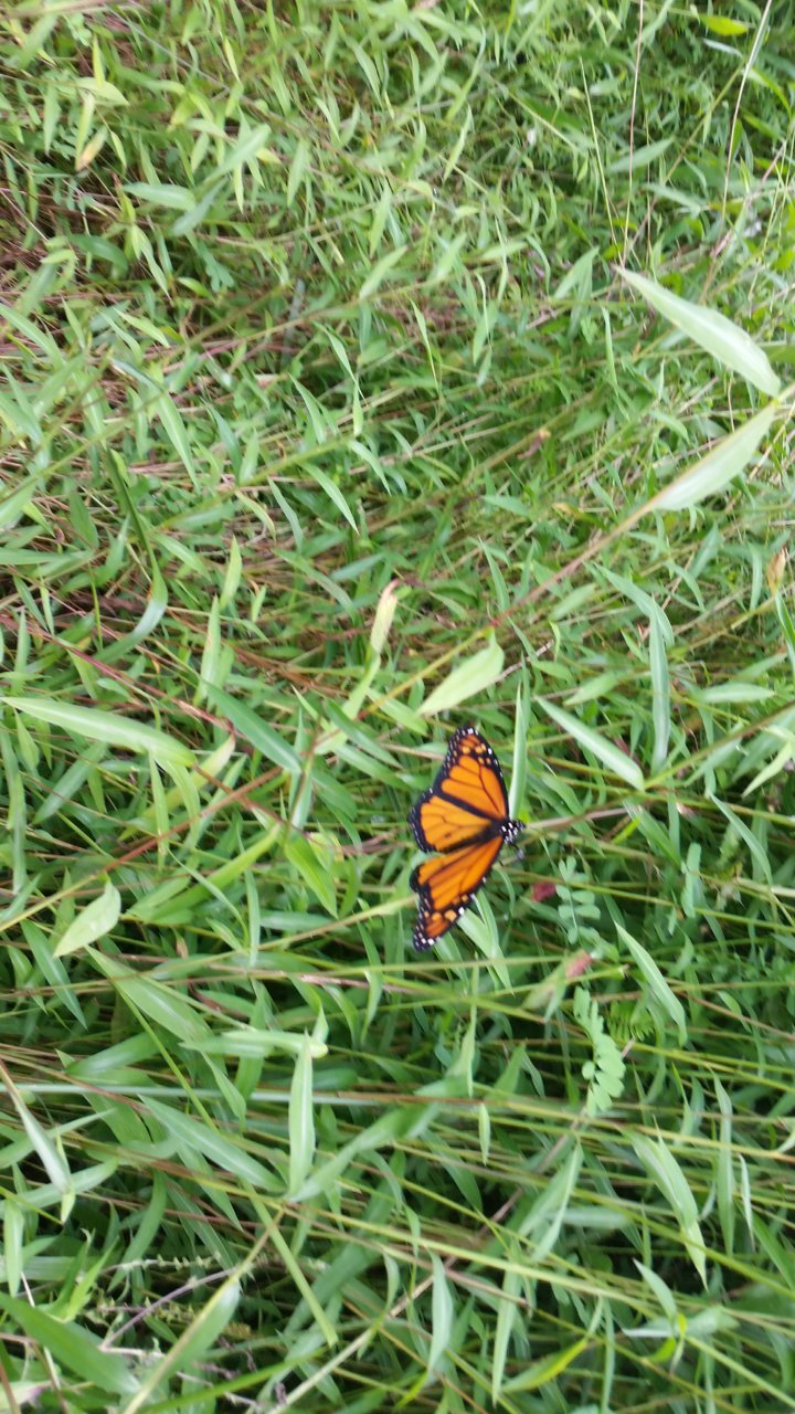 20190902_150043.jpg