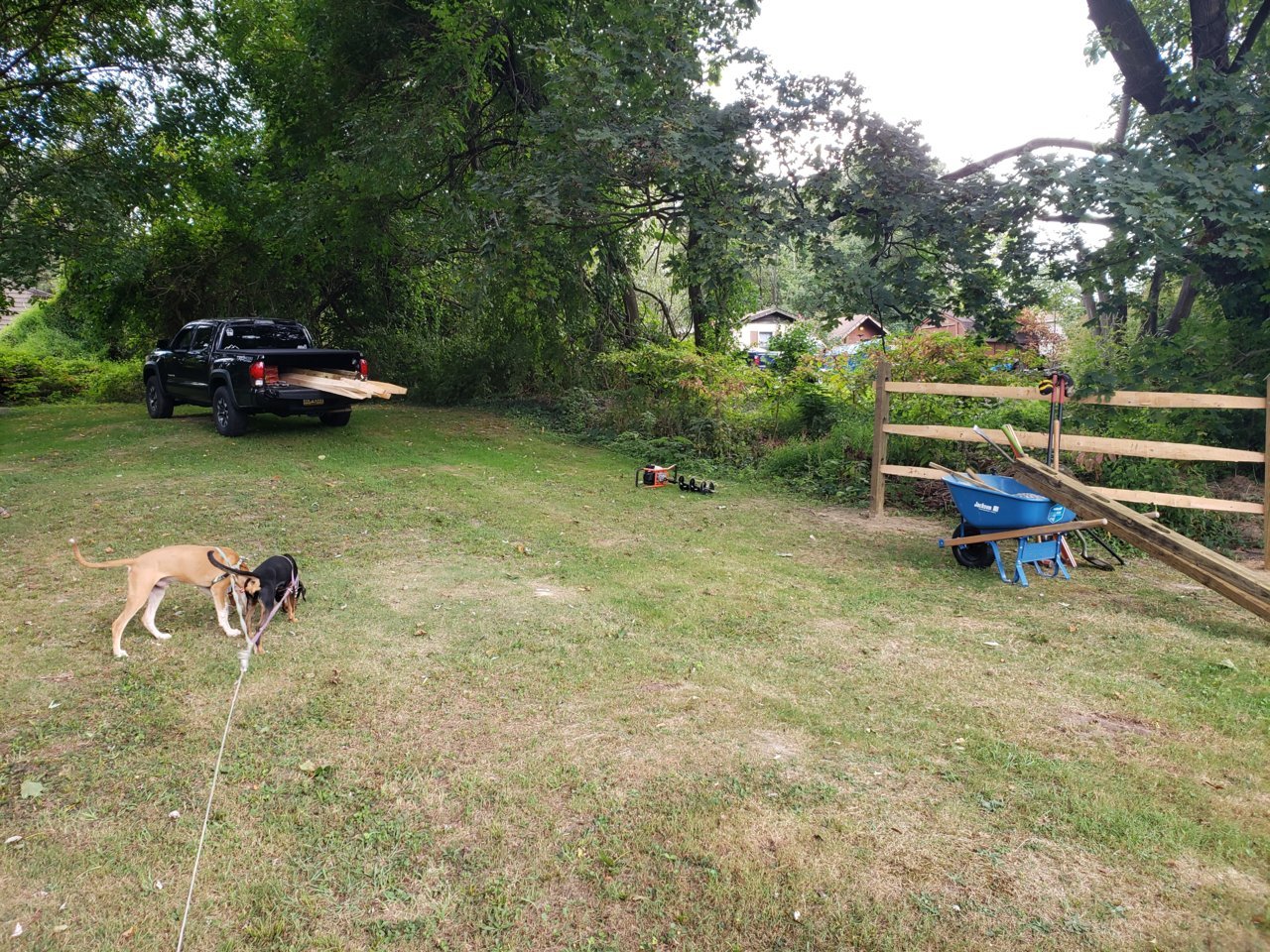 20190902_152207.jpg