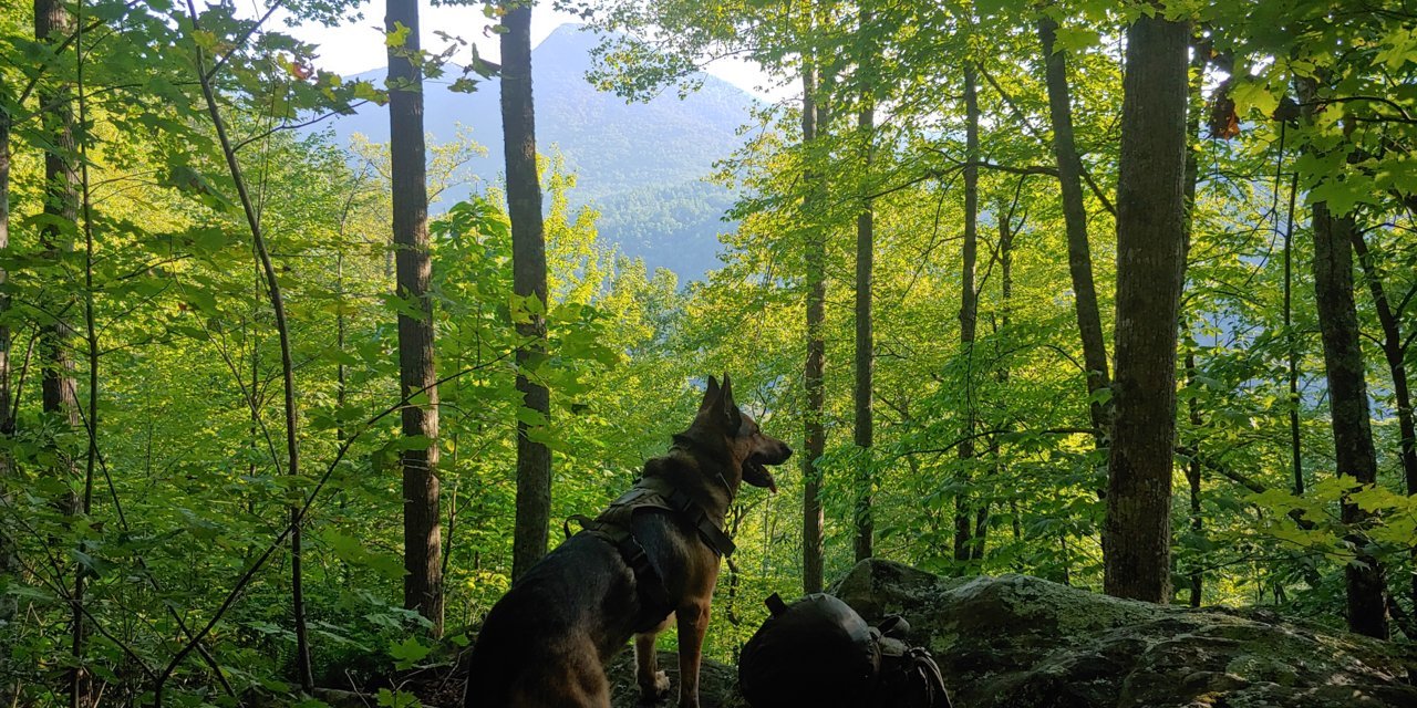20190903_084155_HDR.jpg