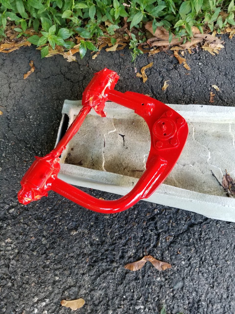 20190903_163232.jpg