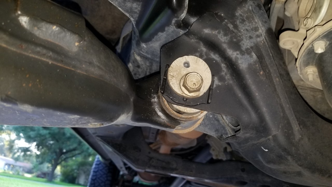20190904_074716.jpg