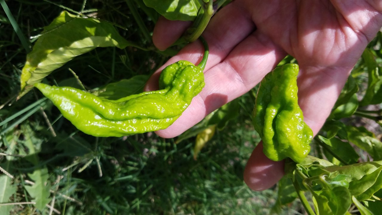 20190904_113345.jpg